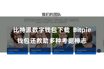 比特派数字钱包下载 Bitpie钱包还救助多种考据神志