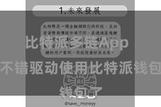 比特派多链App 就不错驱动使用比特派钱包了