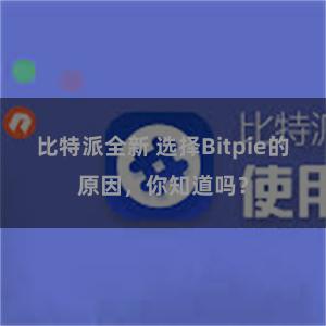 比特派全新 选择Bitpie的原因，你知道吗？