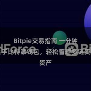 Bitpie交易指南 一分钟上手比特派钱包，轻松管理多链资产