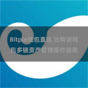 Bitpie钱包直连 比特派钱包多链资产管理操作指南