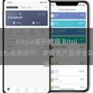 Bitpie备份教程 Bitpie钱包使用技巧：多链资产管理全攻略