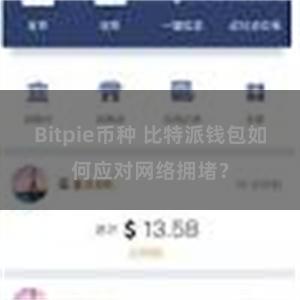 Bitpie币种 比特派钱包如何应对网络拥堵？