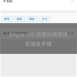 Bitpie iOS 设置比特派钱包地址步骤