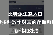 比特派生态入口  相沿多种数字财富的存储和处治