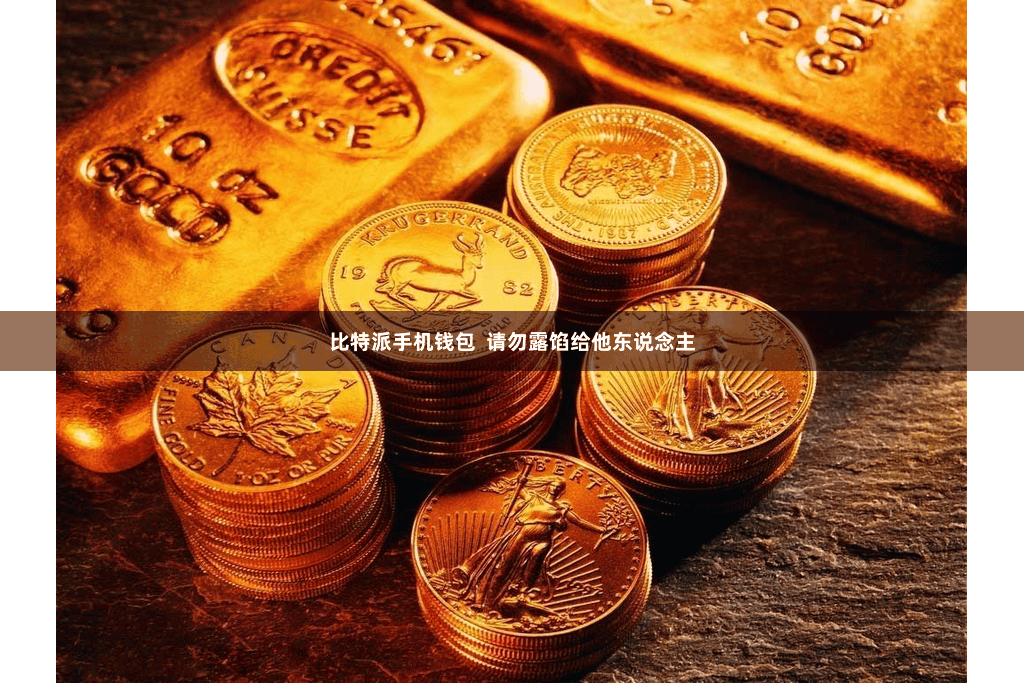 比特派手机钱包  请勿露馅给他东说念主