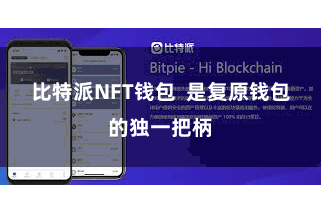 比特派NFT钱包  是复原钱包的独一把柄