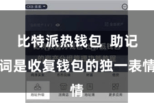 比特派热钱包  助记词是收复钱包的独一表情